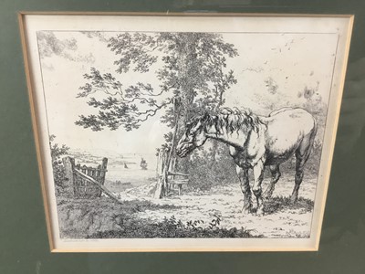 Lot 102 - Robert Hills (1769-1844), pair of etchings of horses, dated 1801, framed and glazed