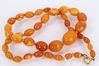 Lot 827 - Butterscotch amber graduated bead necklace with oval polished beads, the largest measuring 15mm x 10mm and the smallest 6mm x 4mm, 44cm long