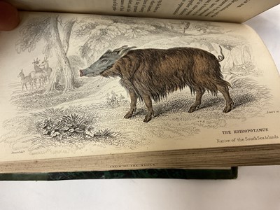 Lot 1700 - Sir William Jardine, The Naturalist's Library, 15 Vols. in total including Birds of Great Britain and Ireland Vols 1, published 1838, all volumes with hand coloured plates