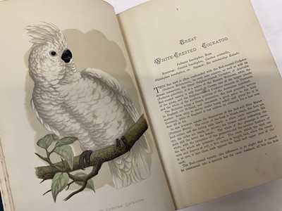 Lot 1703 - W. T. Greene -  Parrots in Captivity, London: George Bell and Sons, first editions 1884-7. 3 volumes, 8vo, original tooled cloth binding