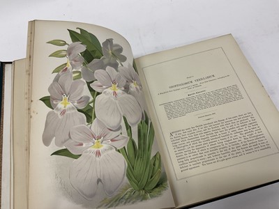 Lot 1720 - John Lindley and Joseph Paxton - Paxton’s Flower Garden… revised by Thomas Baines. London, Paris, etc., 1882-1884. 3 vols., 4to, original decorative cloth
