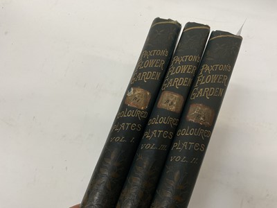 Lot 1720 - John Lindley and Joseph Paxton - Paxton’s Flower Garden… revised by Thomas Baines. London, Paris, etc., 1882-1884. 3 vols., 4to, original decorative cloth