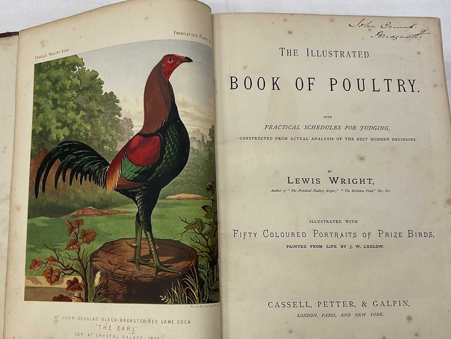 Lot 1725 - Lewis Wright - The Illustrated Book of Poultry, published Casell, Petter and Galplin, half calf, 4to.