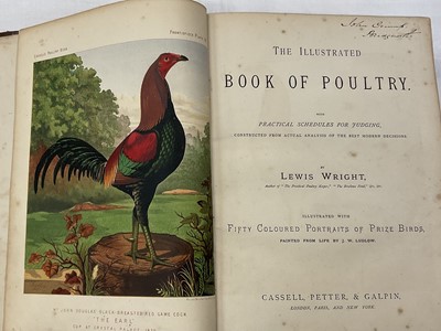 Lot 1725 - Lewis Wright - The Illustrated Book of Poultry, published Casell, Petter and Galplin, half calf, 4to.