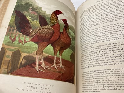 Lot 1725 - Lewis Wright - The Illustrated Book of Poultry, published Casell, Petter and Galplin, half calf, 4to.