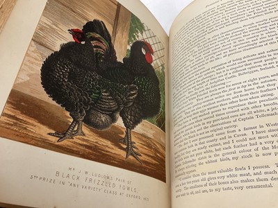 Lot 1725 - Lewis Wright - The Illustrated Book of Poultry, published Casell, Petter and Galplin, half calf, 4to.