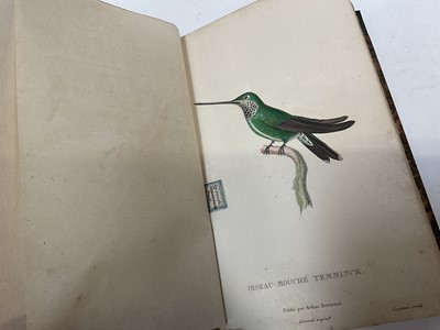 Lot 1730 - René Primevere Lesson - Histoire Naturelle des Oiseaux-Mouches. Paris: Arthus Bertrand, circa 1829, also Histoire Naturelle des Colibris, suivie d'un Supplément a l'histoire naturelle des Oiseaux-M...