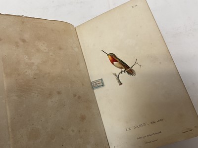Lot 1730 - René Primevere Lesson - Histoire Naturelle des Oiseaux-Mouches. Paris: Arthus Bertrand, circa 1829, also Histoire Naturelle des Colibris, suivie d'un Supplément a l'histoire naturelle des Oiseaux-M...