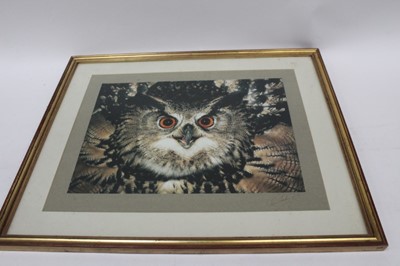 Lot 1732 - Eric Hoskings signed original photograph of an Eagle owl, in glazed frame, together with a collection of twelve books illustrated by Eric Hoskings, two of which are signed and with dedication to Be...