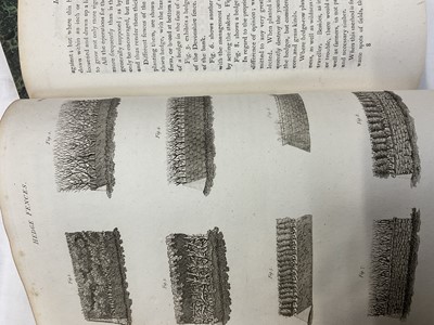 Lot 1677 - R. W. Dickson, Practical Agriculture; or, A Complete System of Modern Husbandry, in two volumes, London: Richard Phillips, 1807