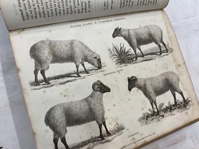 Lot 1672 - Group of leather bound antiquarian agricultural books including Jethro Tull - The Horse-Hoing Husbandry, 2nd edition, A. Millar, 1743, together with Marshall - Experiments and Observations concerni...