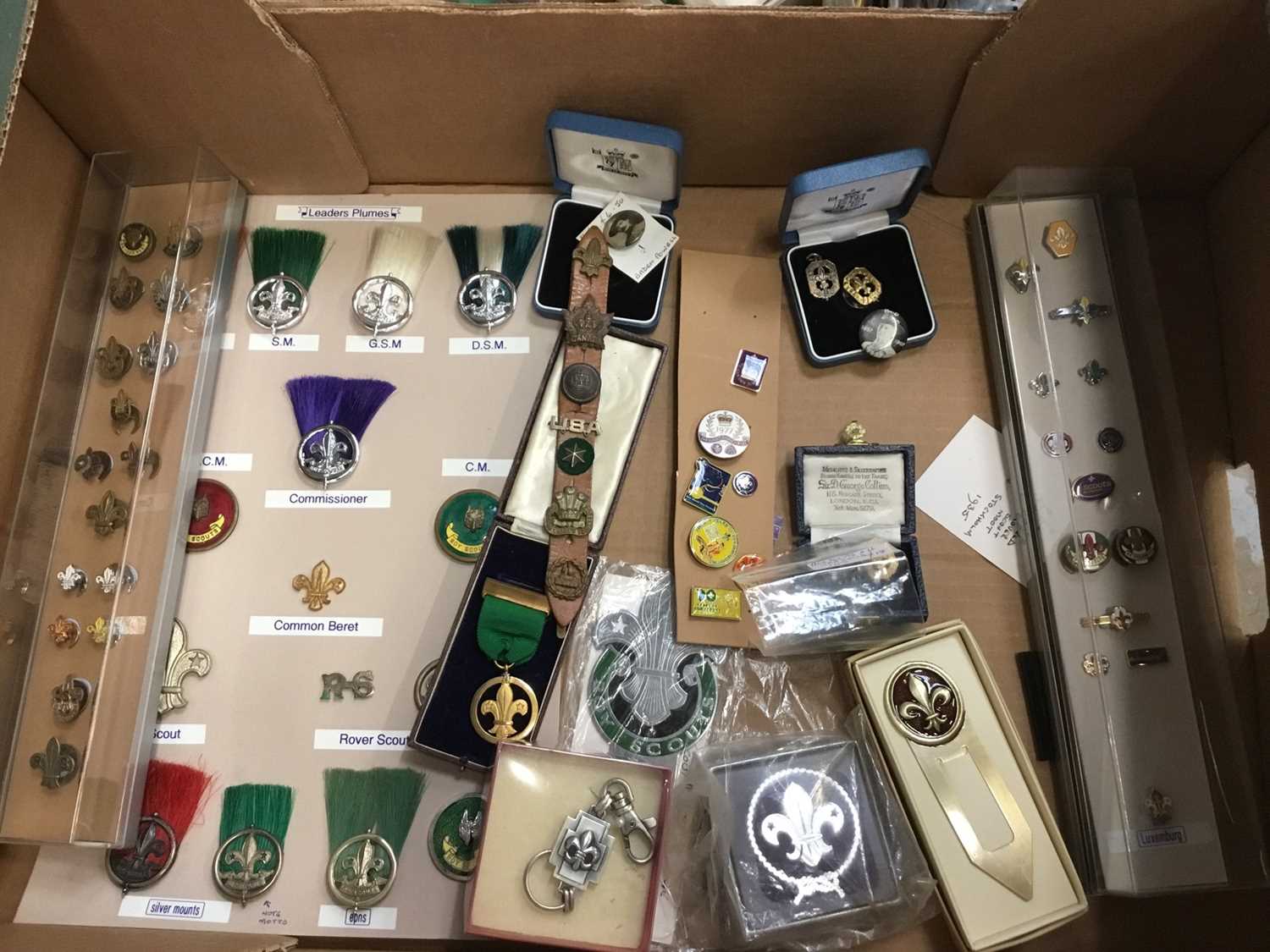 Lot 2551 - Fascinating collection of Scouting badges,