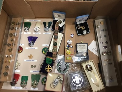 Lot 2551 - Fascinating collection of Scouting badges, pins and scout car badges 1930s-1990s