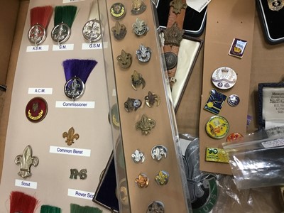 Lot 2551 - Fascinating collection of Scouting badges, pins and scout car badges 1930s-1990s