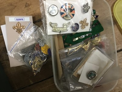 Lot 2551 - Fascinating collection of Scouting badges, pins and scout car badges 1930s-1990s