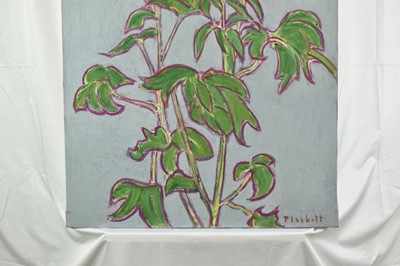 Lot 1066 - Joseph Plaskett (1918-2014) oil on canvas - The White Delphinium, signed, titled verso, 102cm x 70cm, unframed