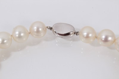Lot 739 - Cultured pearl necklace with a string of 10.5mm-11.5mm cultured pearls suspending a detachable pear shaped cultured pearl pendant drop, 47cm.