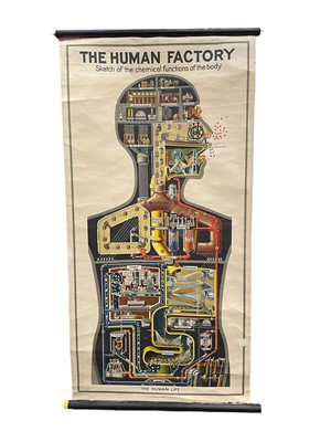 Lot 1572 - The Human Factory, Sketch of the Chemical Functions of the Body, printed in Germany