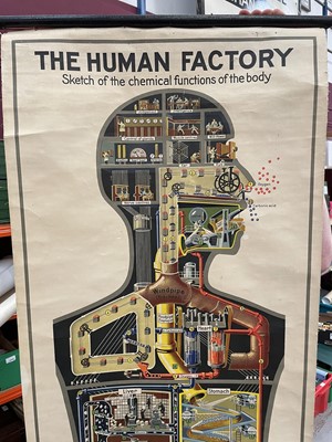 Lot 1572 - The Human Factory, Sketch of the Chemical Functions of the Body, printed in Germany