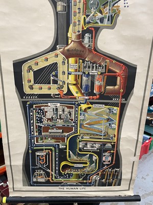 Lot 1572 - The Human Factory, Sketch of the Chemical Functions of the Body, printed in Germany