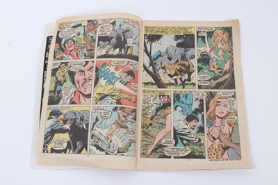 Lot 158 - Marvel Comics, 1972 Bronze Age, Shanna The She-Devil. First appearance of Shanna. Priced 20cent