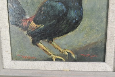 Lot 1030 - Dave Ross, contemporary, oil on board - Old English Game Cock, signed, 19.5cm x 18.5cm, in painted frame