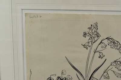 Lot 1284 - *John Northcote Nash (1893-1977) pen and ink - "Wild Flowers, Woodland 2", inscribed in pencil, 24cm x 35cm, Nash stamp verso, in glazed frame