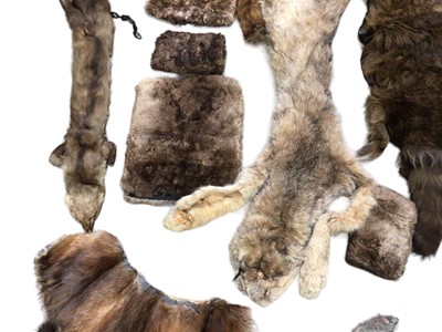 Lot 181 - Collection of 19th century furs