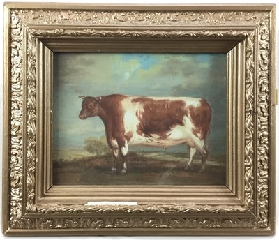 Lot 137 - Continental school 20th century oil on canvas laid on board - A Prize Bull, 18.5cm x 24cm, in gilt frame