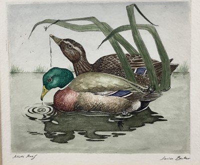 Lot 147 - Louise Barker (Contemporary British) coloured etching A/P - Ducks in a pond, signed and inscribed to margin, 19.5cm x 23cm, framed