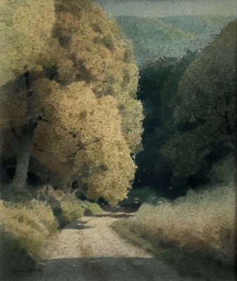 Lot 160 - Kevin Hughes RI (b.1947) watercolour - Woodland path, signed, inscribed and dated verso, 29.5cm x 25cm, framed