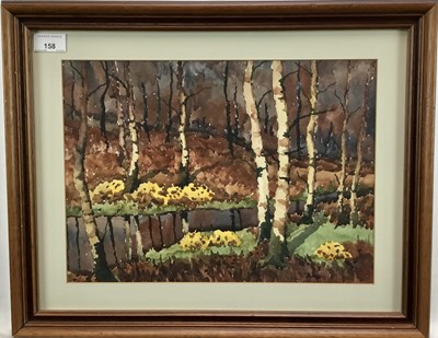 Lot 158 - Contemporary British watercolour study - Autumn woodland, indistinctly signed, 27cm x 37cm, framed