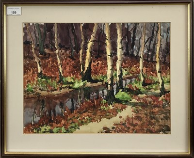 Lot 159 - Contemporary British watercolour - Autumm woodland, signed, 30cm x 39.5cm, framed