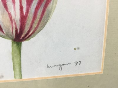 Lot 70 - Glyn Morgan (1926-2015) watercolour, Tulip and butterfly, signed and dated '97, 16 x 12cm, glazed frame. Provenance: From the Estate of David Tron, Kings Road Antiques dealer