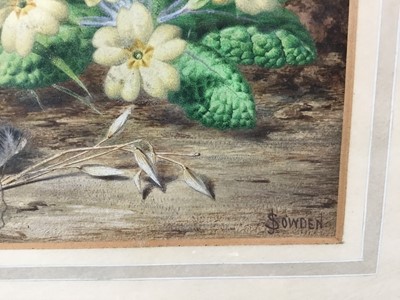 Lot 71 - John Sowden (1838-1926) watercolour, study of bird nest and cowslips, signed, 19 x 28cm. Provenance: From the Estate of David Tron, Kings Road Antiques dealer