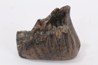 Lot 932 - Mammoth tooth in fine condition with original dentine mostly intact