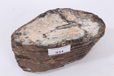Lot 229 - Large mammoth tooth