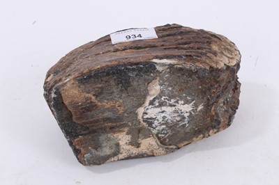 Lot 229 - Large mammoth tooth