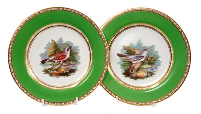 Lot 249 - A pair of Spode green ground ornithological plates, circa 1815-20