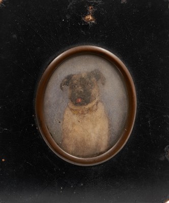 Lot 888 - 19th century portrait miniature of a pet pug, in papier mâché frame