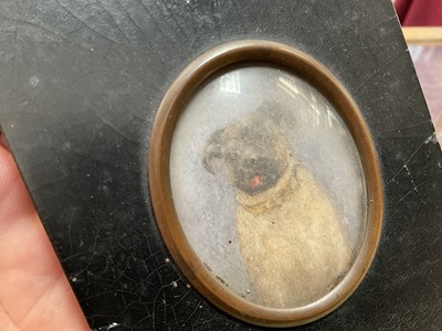 Lot 888 - 19th century portrait miniature of a pet pug, in papier mâché frame