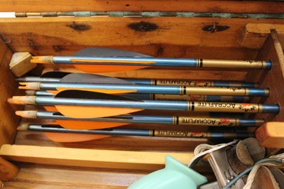 Lot 2472 - Greenkat bow and arrow set in case