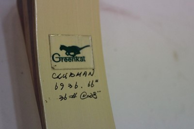Lot 2472 - Greenkat bow and arrow set in case