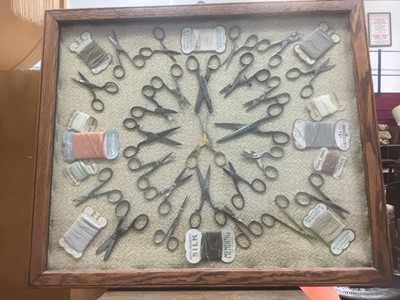 Lot 265 - Glazed display of scissors