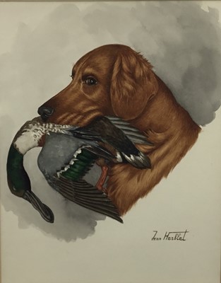 Lot 362 - Jean Herblet, 20th century, watercolour - Retriever and Wildfowl, signed, 47cm x 37cm, in glazed frame