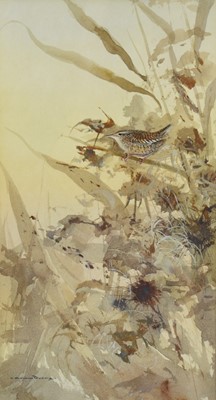 Lot 1328 - *Colin Burns (b.1944) watercolour - Winter Reeds and Wren, signed, 30cm x 17cm, mounted in glazed frame