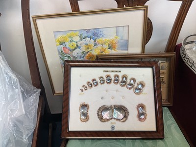 Lot 390 - Interesting frames display 'the cultured pearl' together with a watercolour and a glazed case of ships knots (2)