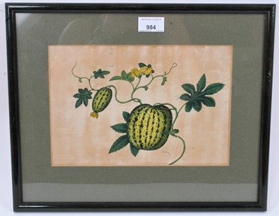 Lot 984 - 19th century Indian school rice paper botanical painting of melons