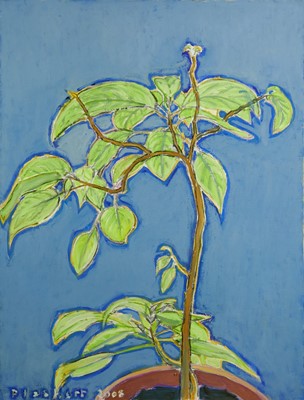 Lot 1125 - Joseph Plaskett (1918-2014) oil on canvas - Still Life, Datura on Blue, signed and dated 2008, 107cm x 80cm, unframed
