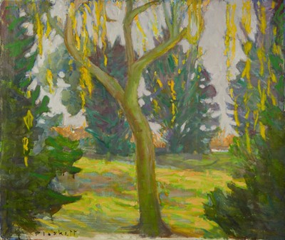 Lot 1137 - Joseph Plaskett (1918-2014) oil on unstretched canvas - Landscape with Willow Tree, signed, 97cm x 114cm, unframed
